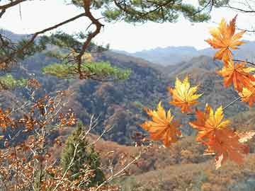 去年9月之后，美日印澳“四边机制”外长会议明日再度举行